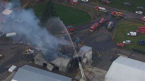silverton oregon news|Worker dies, another injured in explosion at Silverton seed.